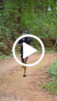 BIB:  <button type="button" onclick="openModal(26808890)" class="btn btn-primary btn-sm float-right" data-toggle="modal" data-target=".modal-high-quality">
                <i class="fa fa-download"></i> Download
                </button>